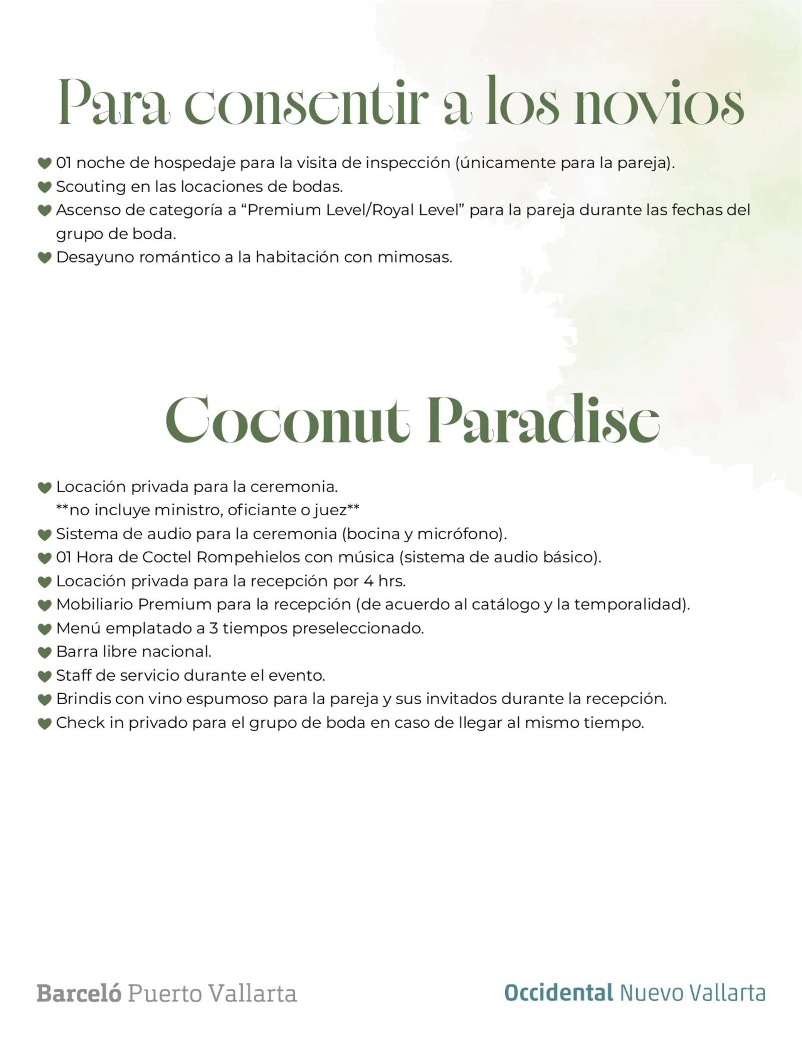 coconut paradise 2027-2028