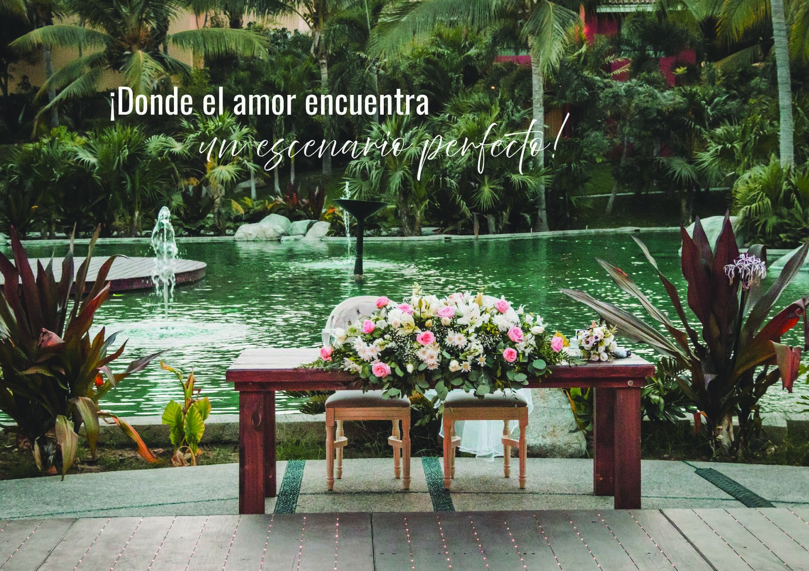 paquetes de bodas