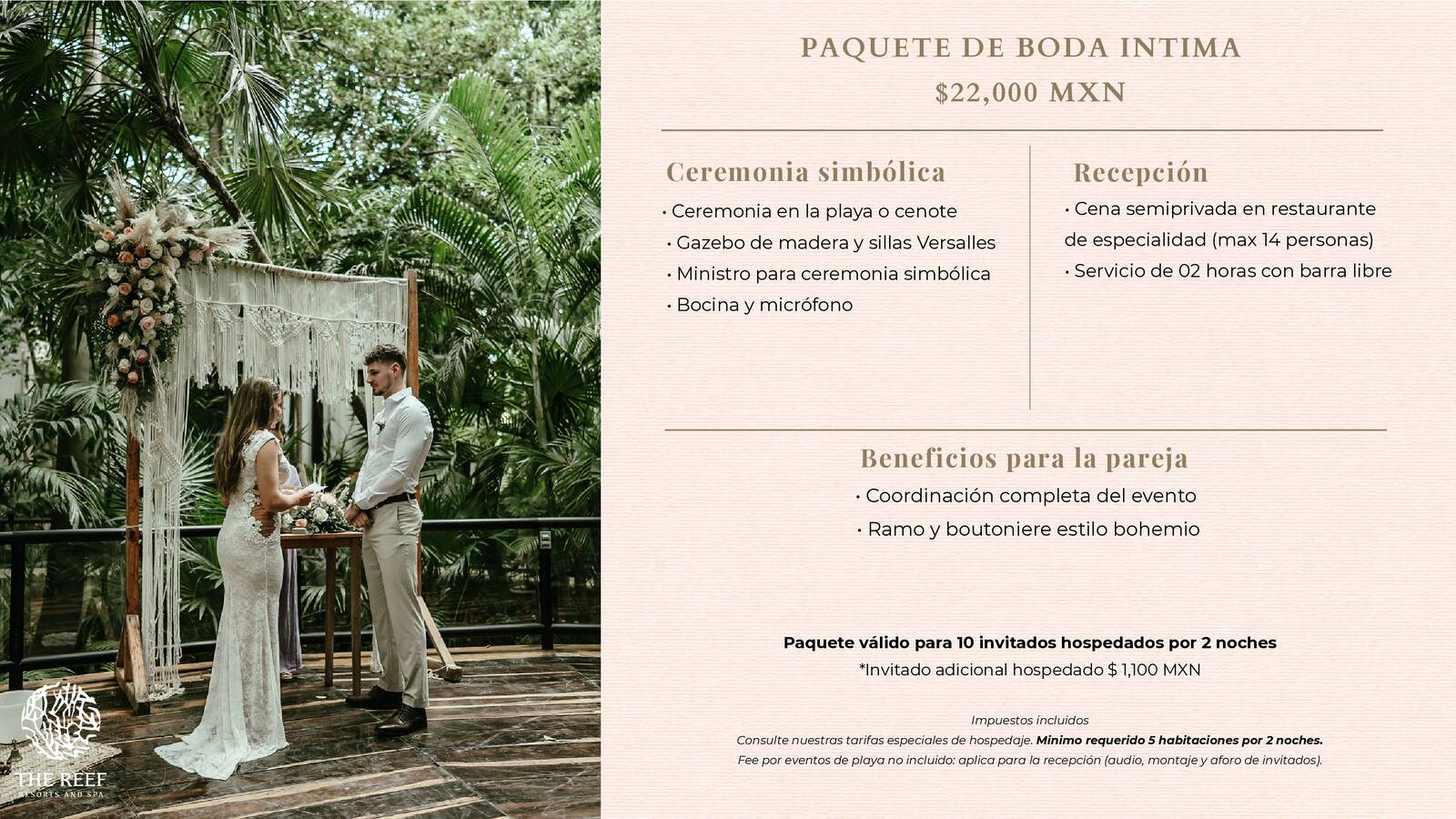 THE REEF BODAS