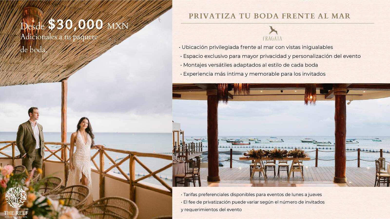 THE REEF BODAS