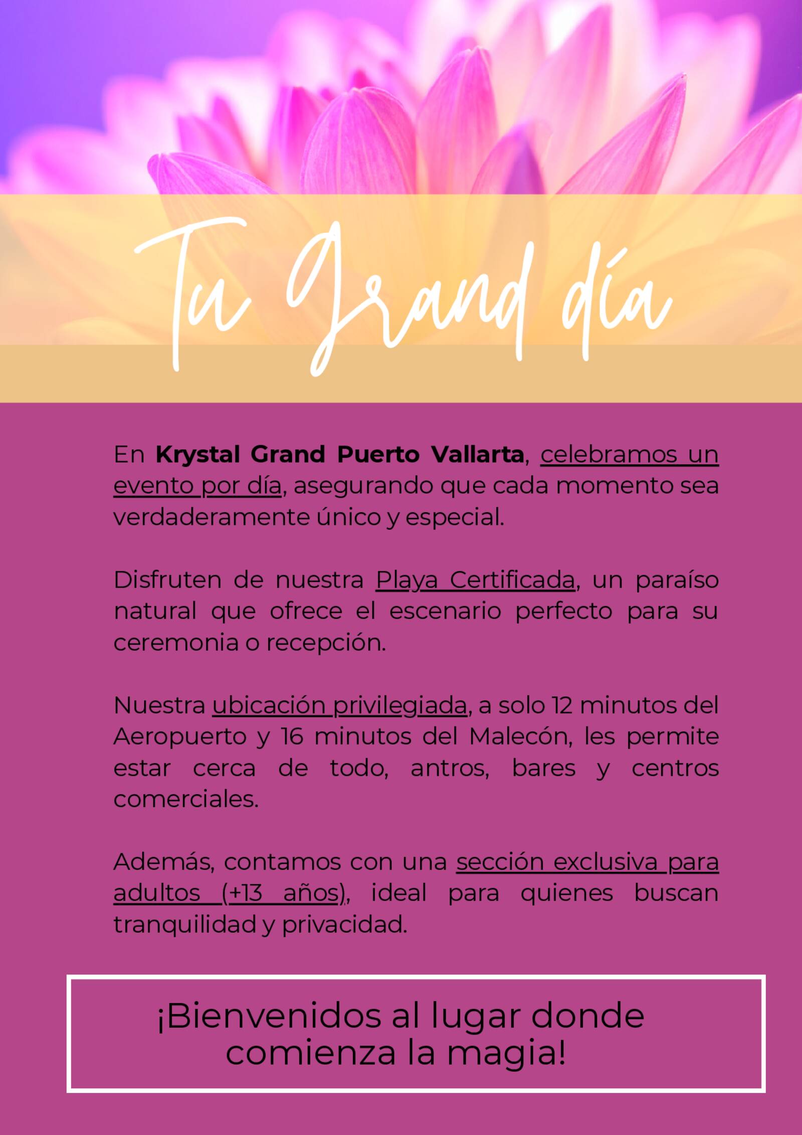 brochure de xv a�os