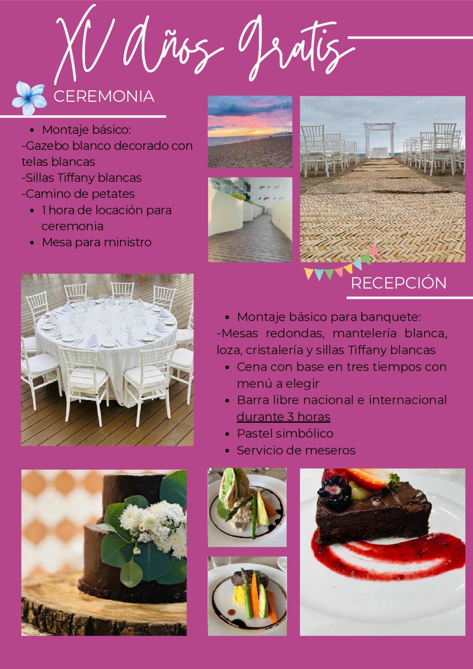 brochure de xv a�os