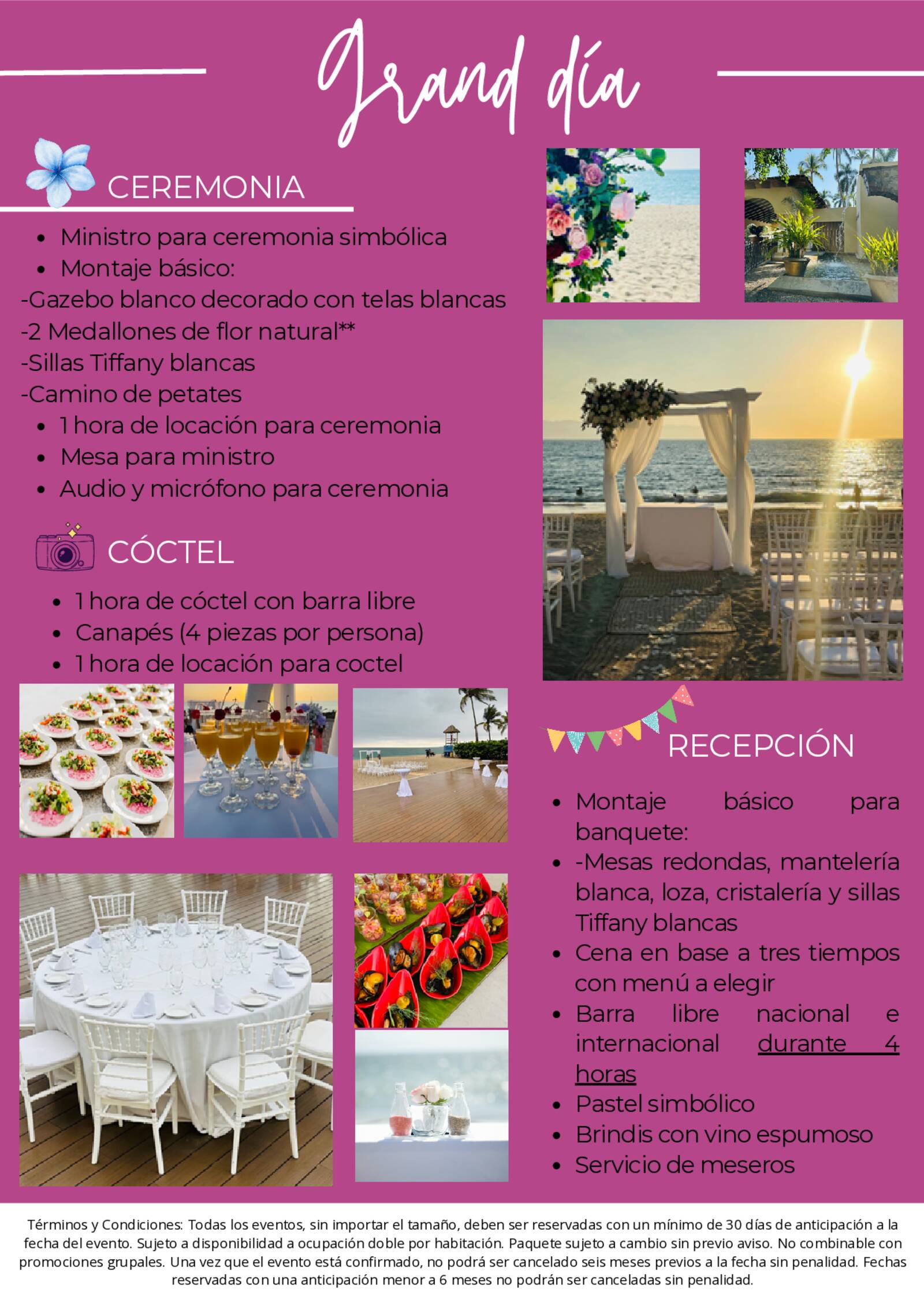 brochure de xv a�os