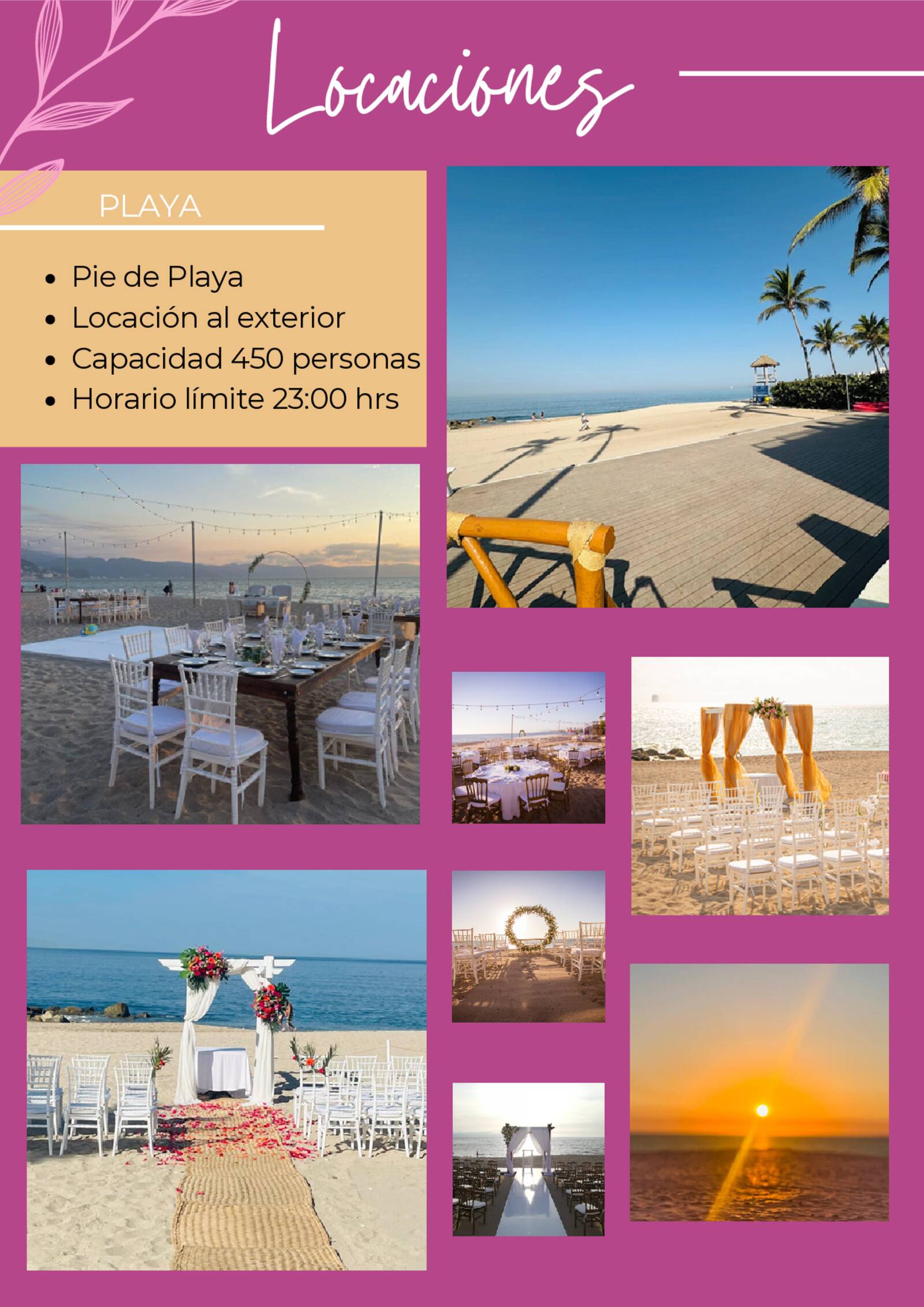brochure de xv a�os