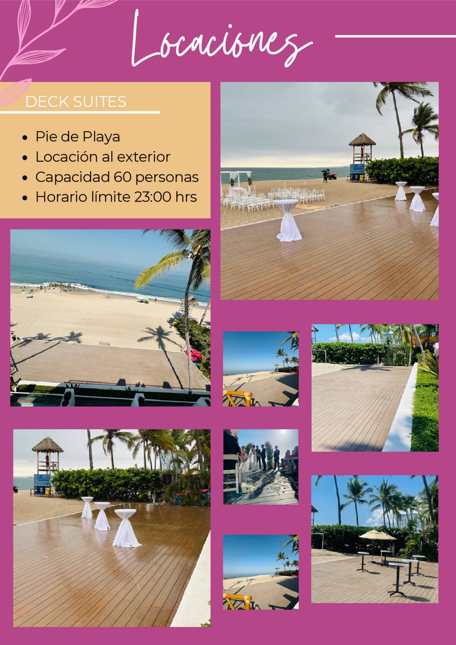 brochure de xv a�os