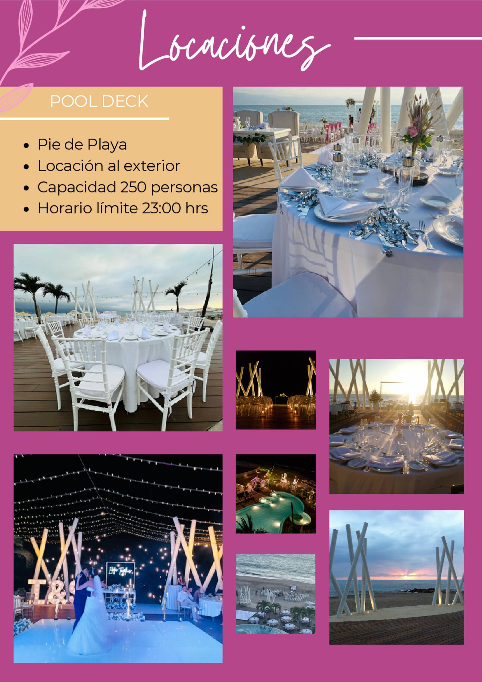 brochure de xv a�os