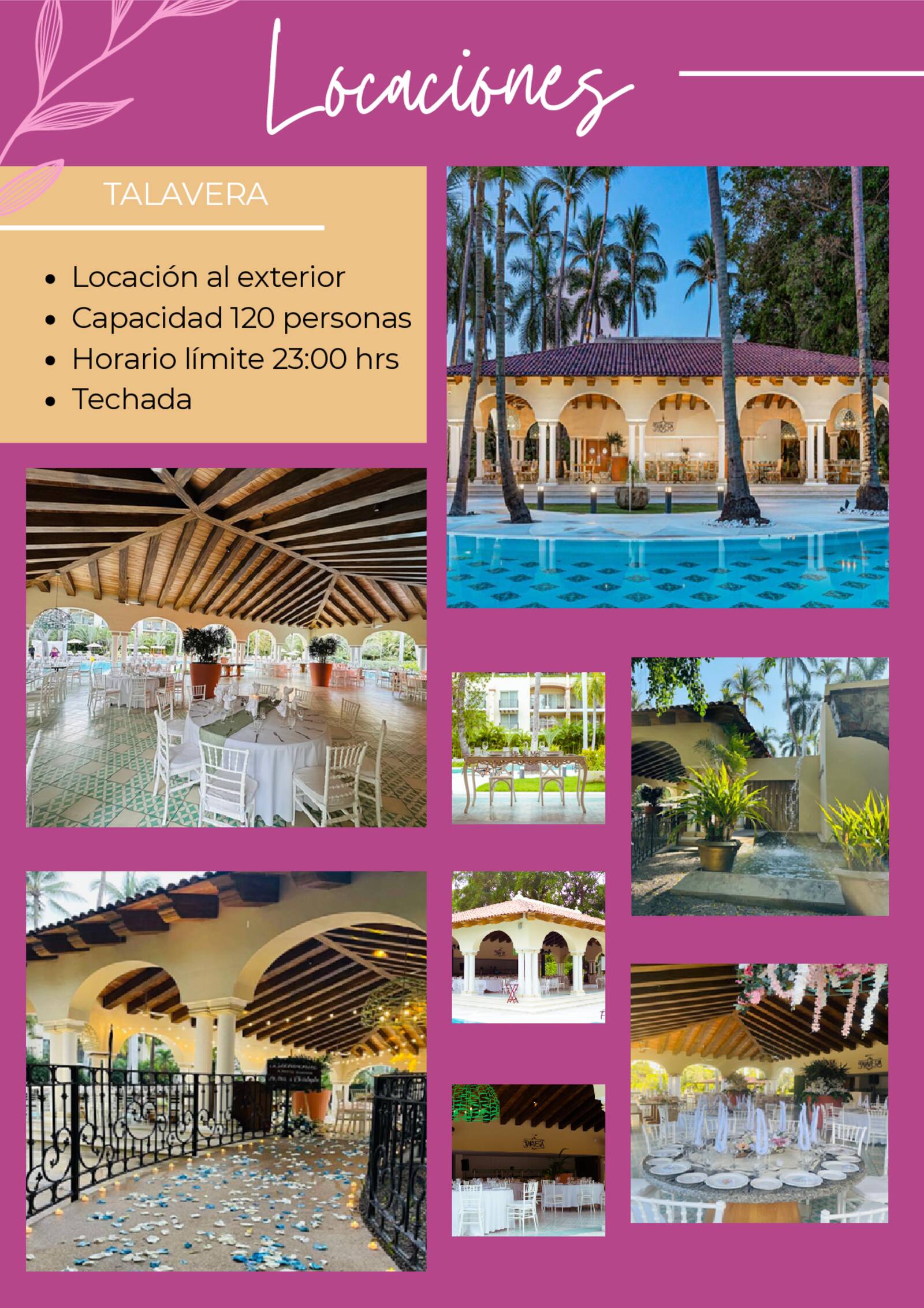 brochure de xv a�os