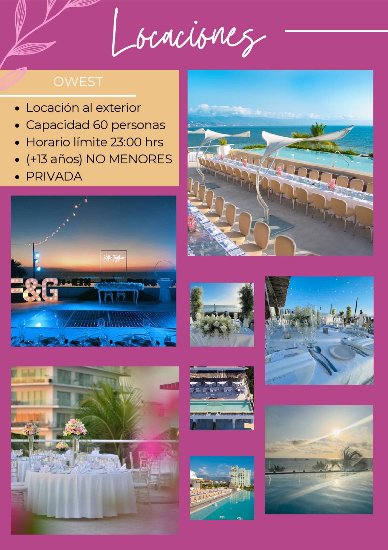 brochure de xv a�os