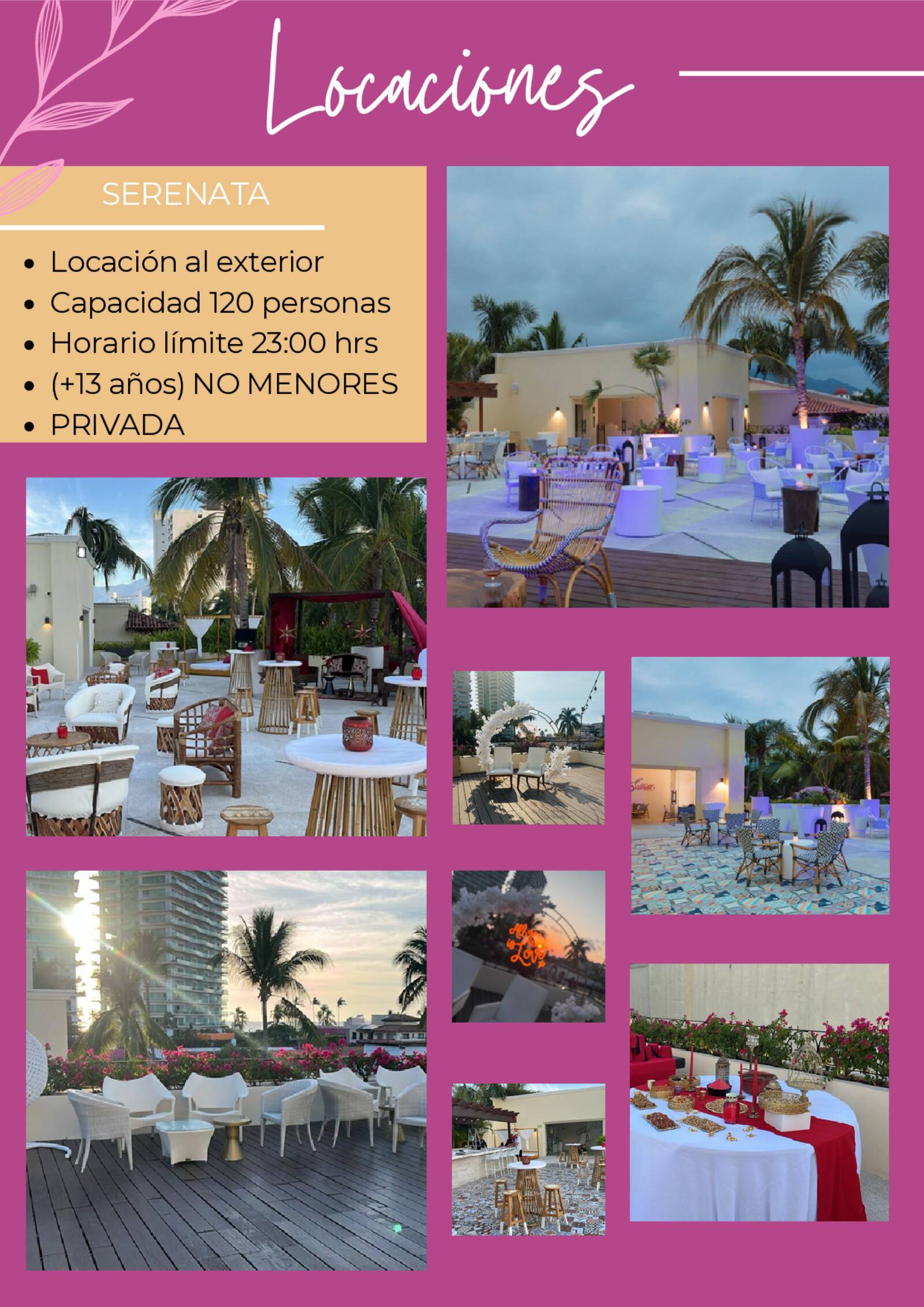 brochure de xv a�os