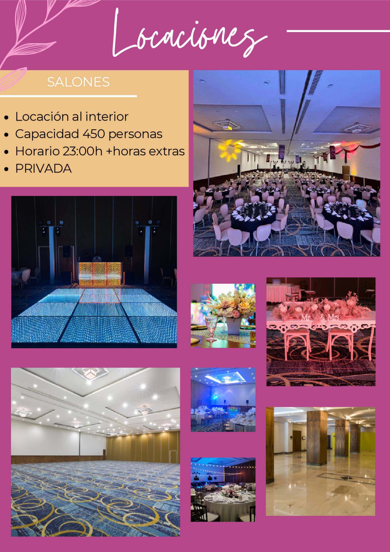 brochure de xv a�os