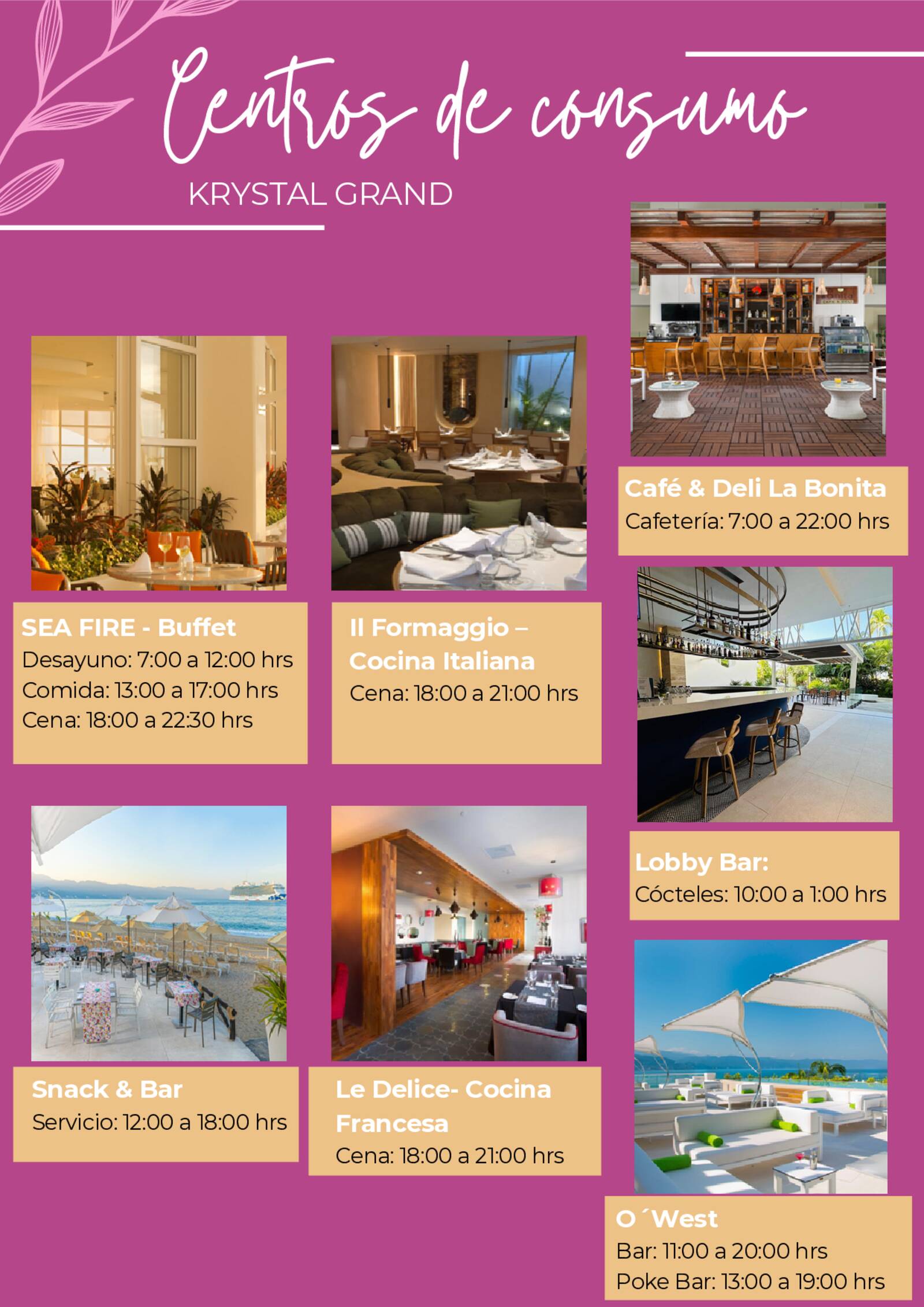 brochure de xv a�os