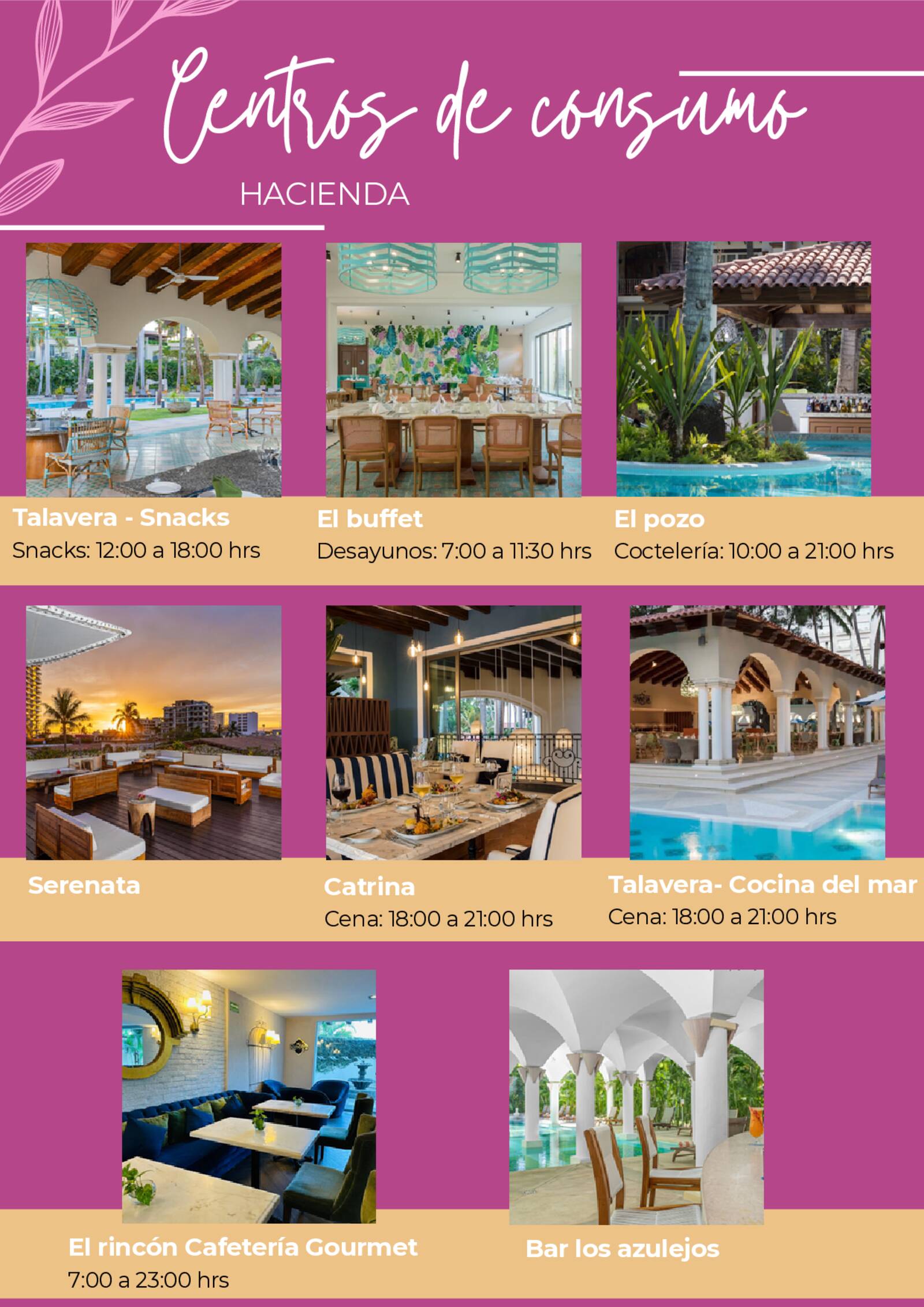 brochure de xv a�os