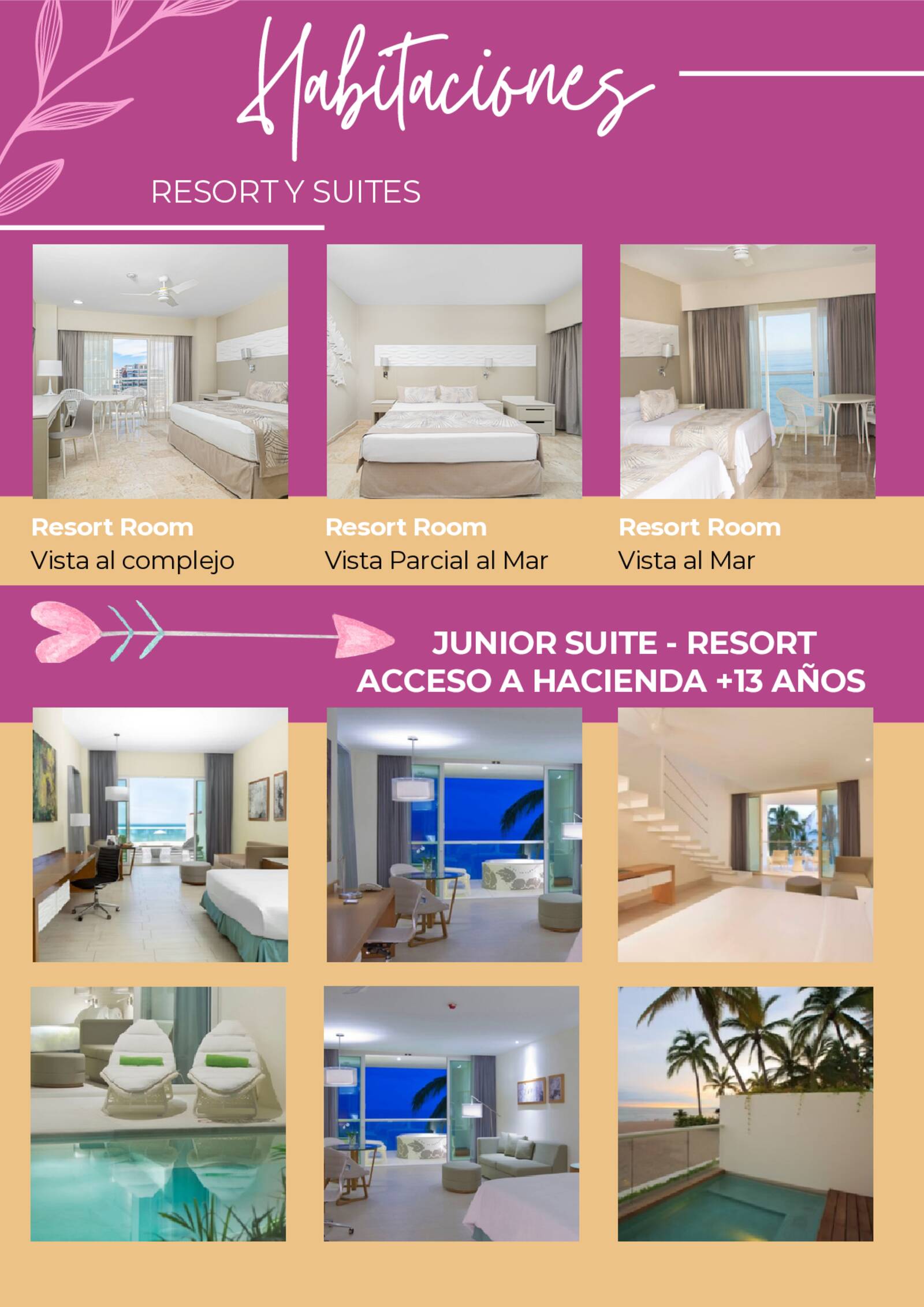 brochure de xv a�os