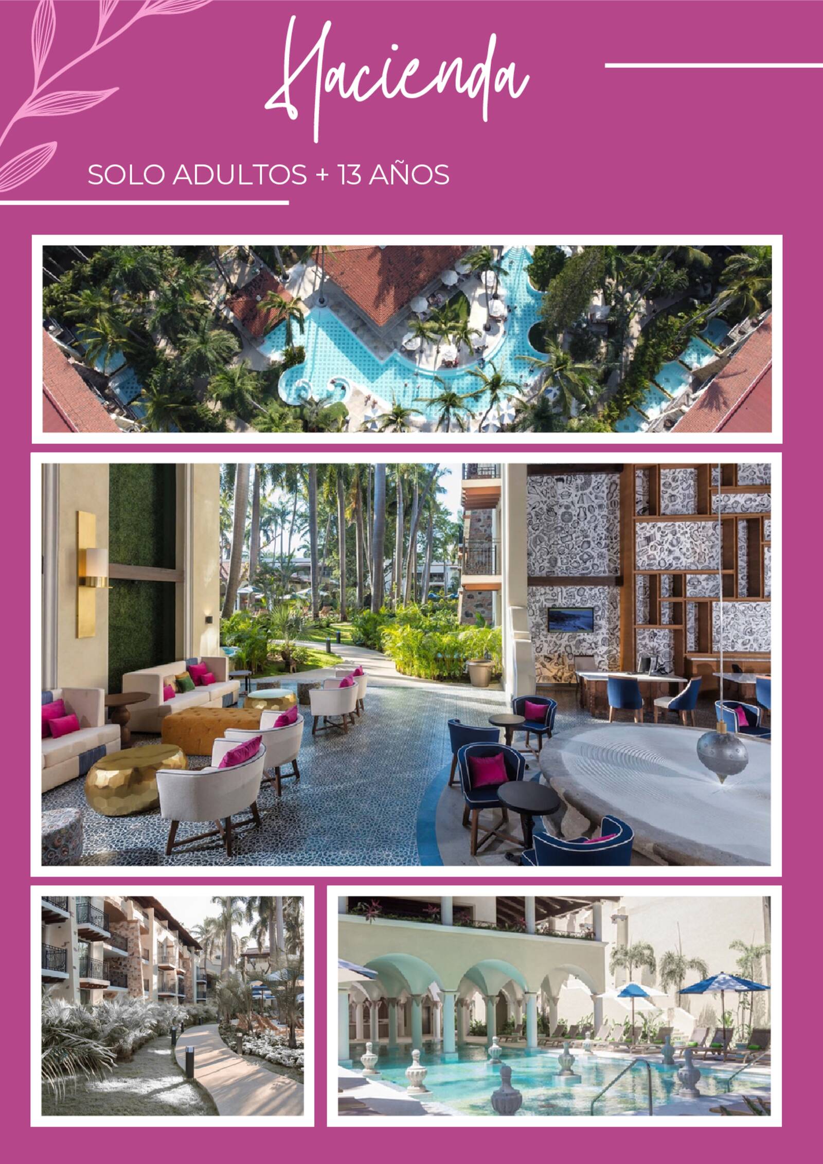 brochure de xv a�os