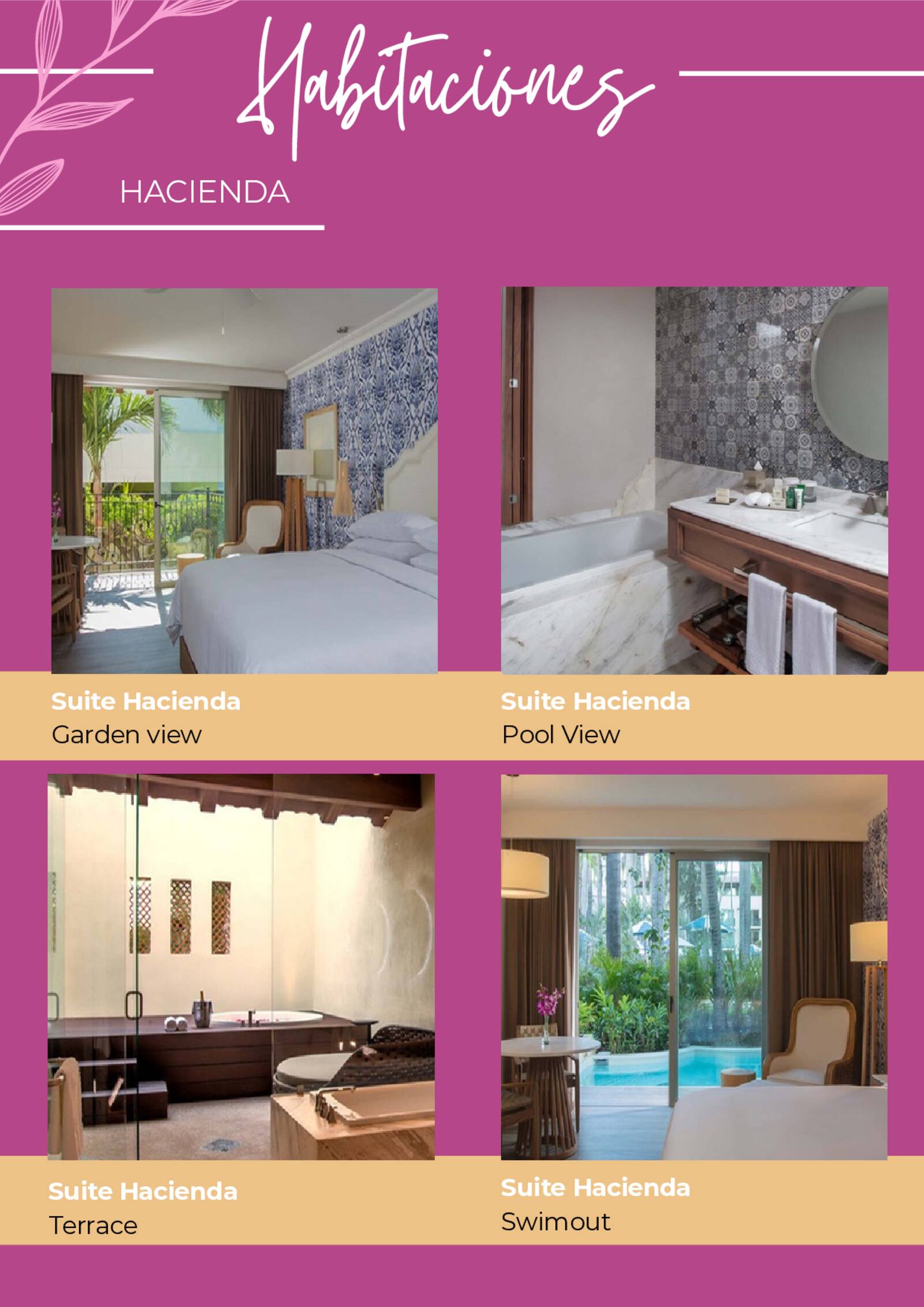 brochure de xv a�os