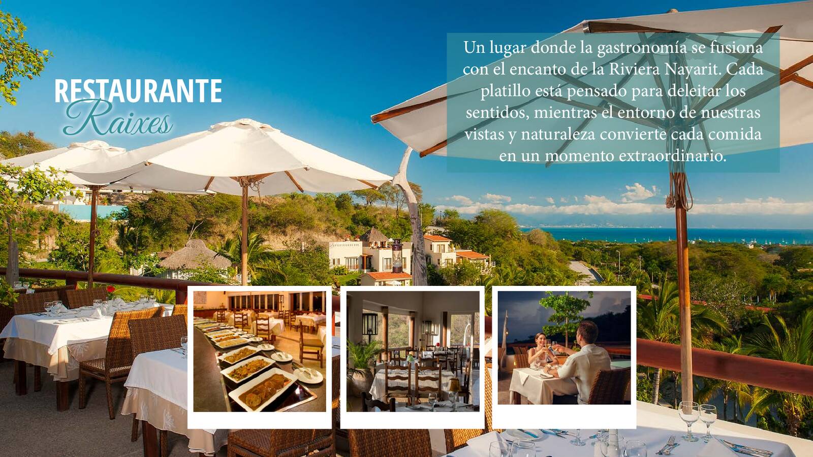 presentacion