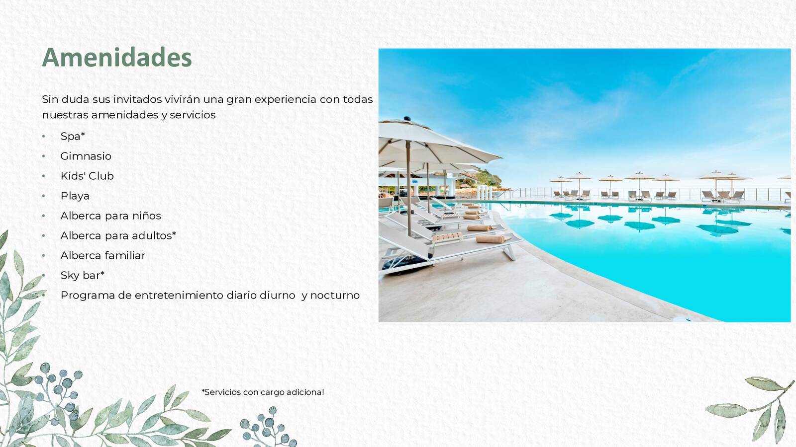 presentacion