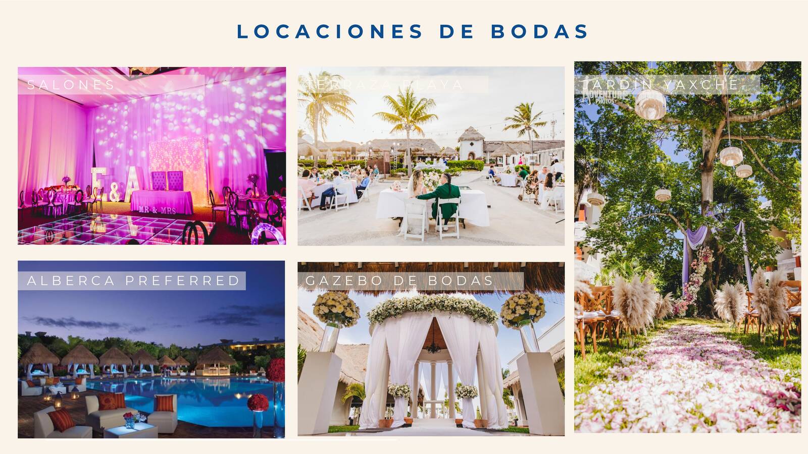 bodas